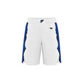 HEADLINER SHORTS