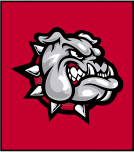 Hustle Hoops NC Logo
